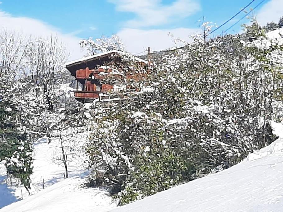 Mountain Chalet Mayrhofen Εξωτερικό φωτογραφία